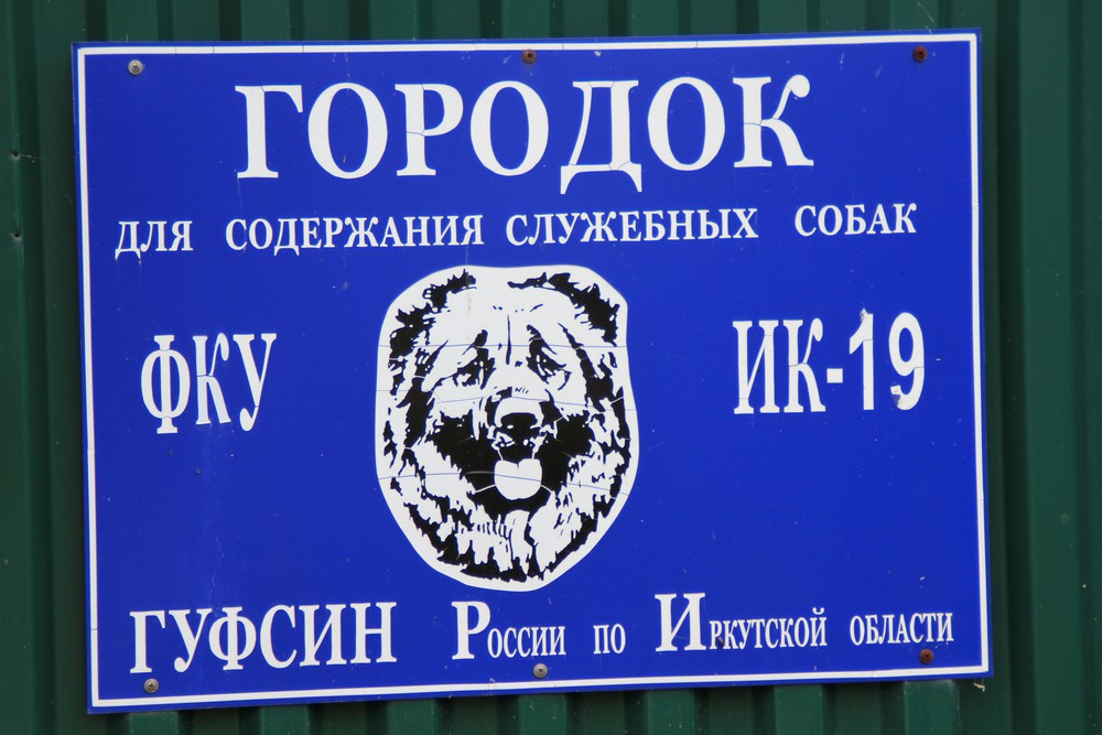 Кинодром для служебных собак схема