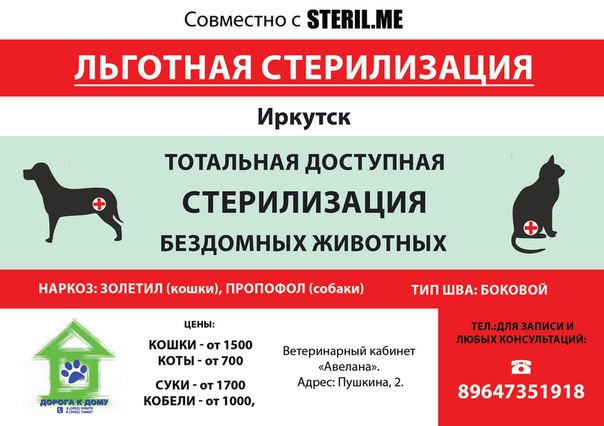 Стерилизации кошки стоимость